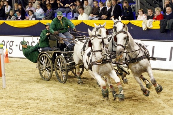 GC Vierspaenner 027.jpg